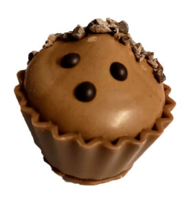 Hedgy - Chocolate Mousse Cupcake