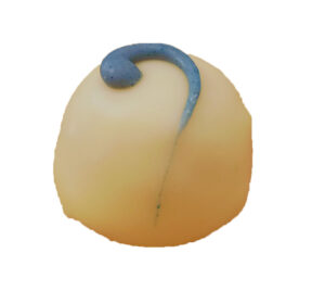 Blueberry & Balsamic chocolate